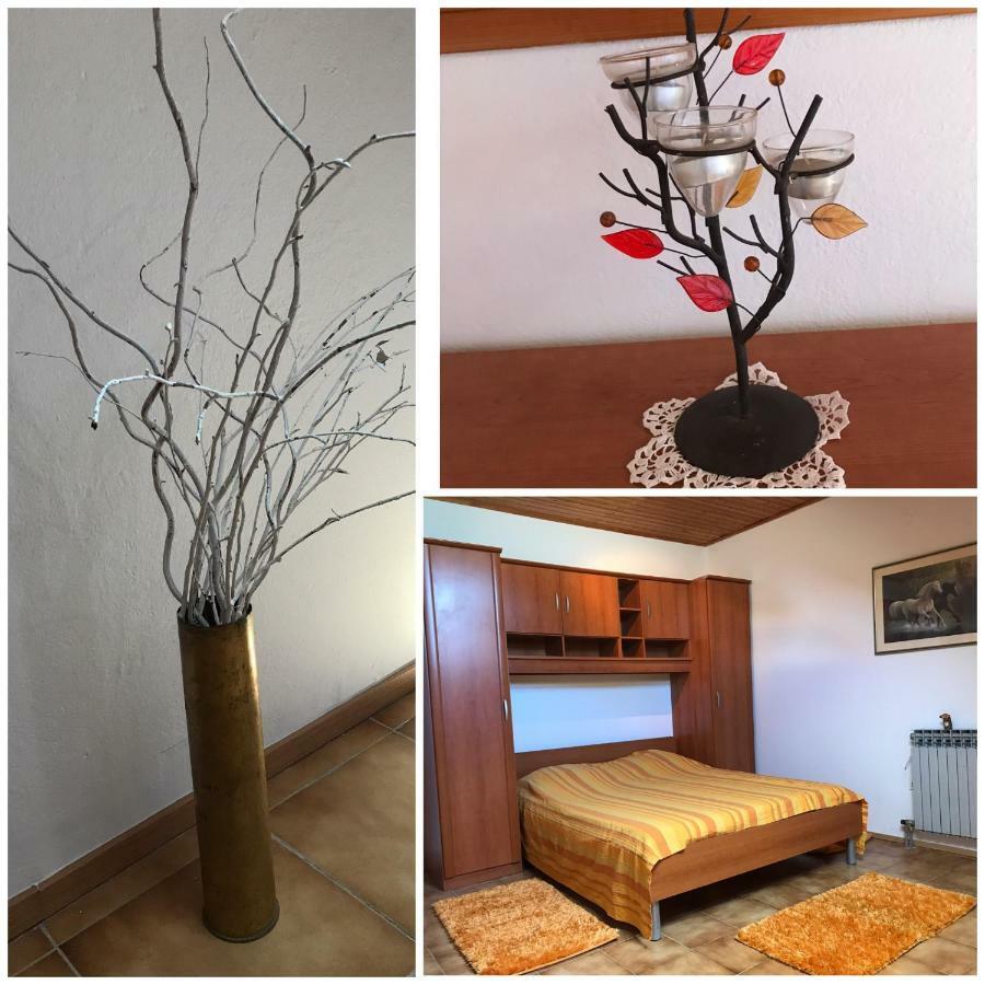 Lidija Apartamento Zadar Exterior foto
